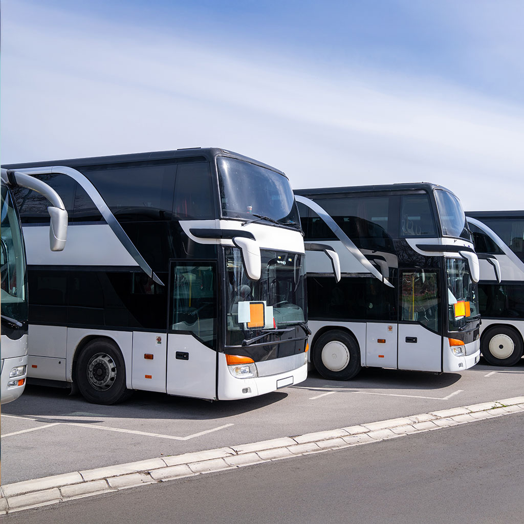 white coaches lined up ready to travel to London